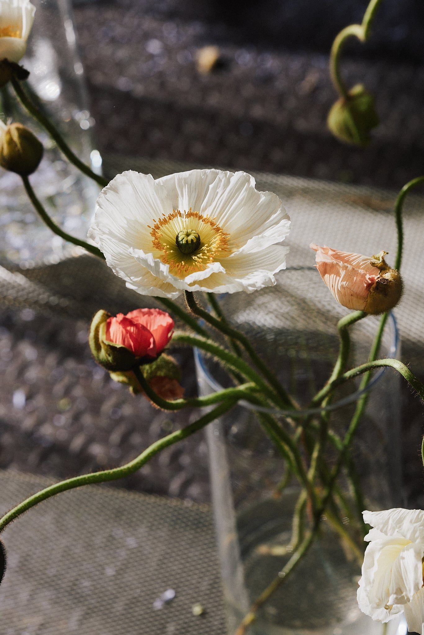 Bukett 💐 — photographed by Abrakadabra