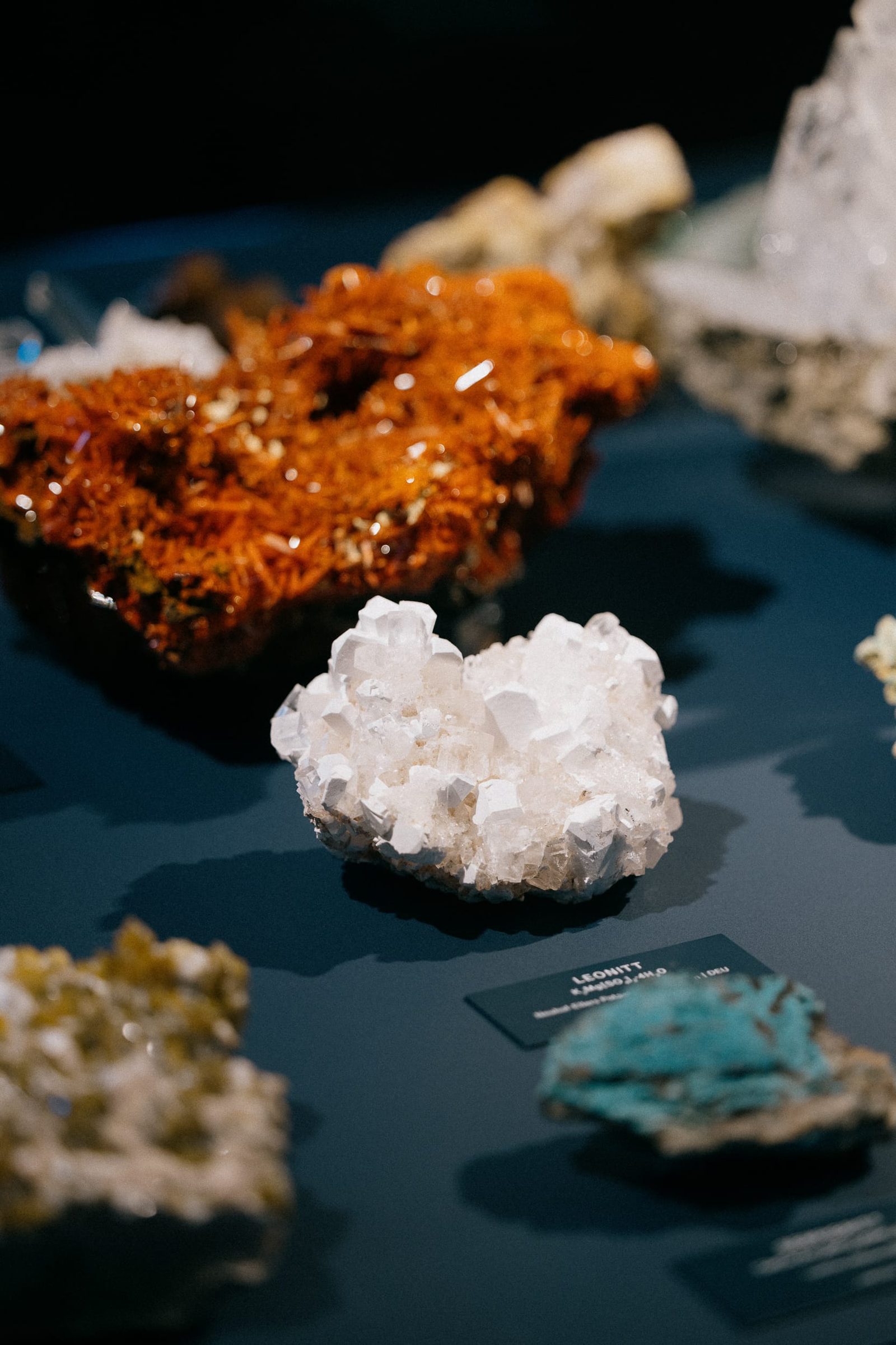 Bleed / Naturhistorisk museum — photographed by Abrakadabra