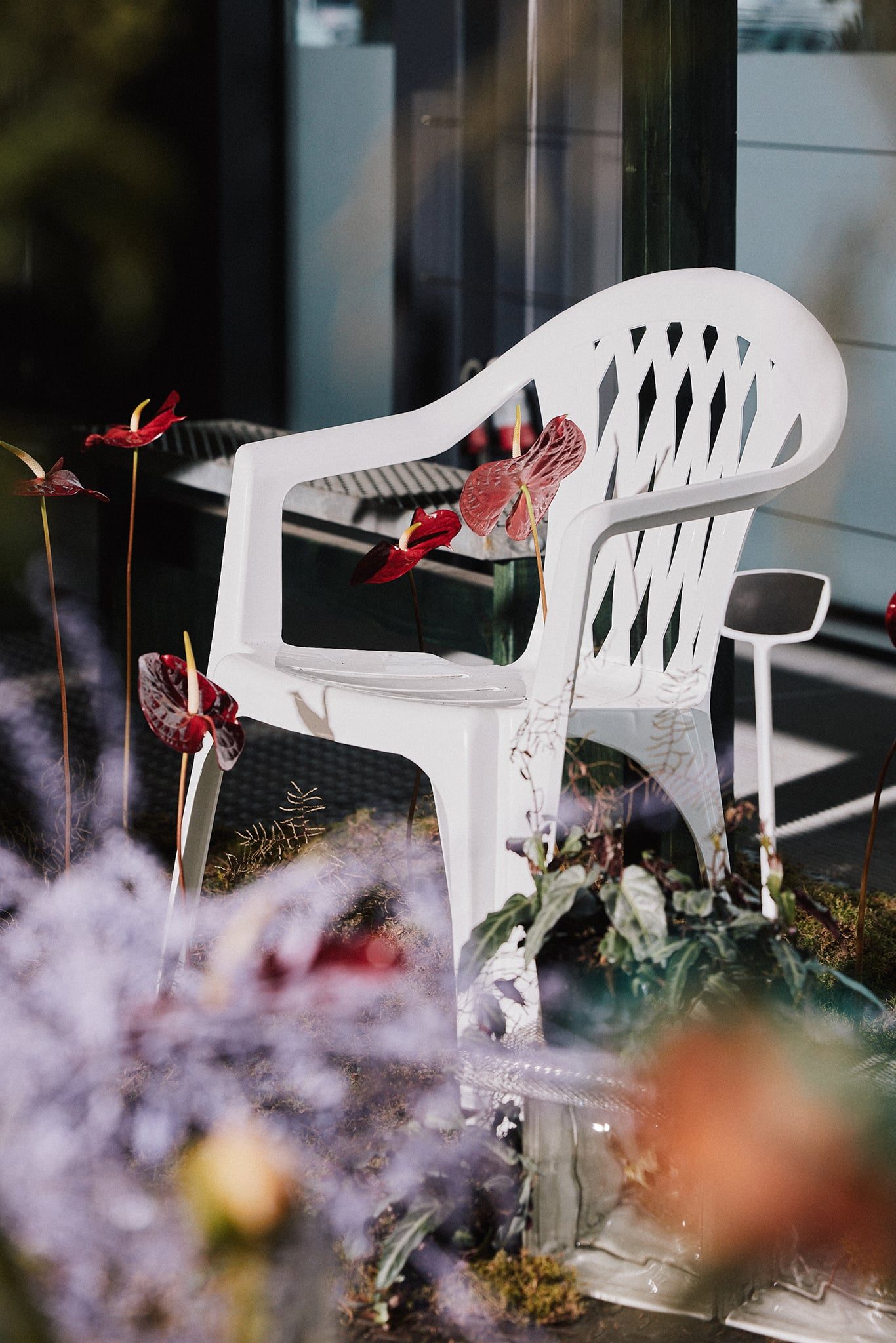 Bukett 💐 — photographed by Abrakadabra