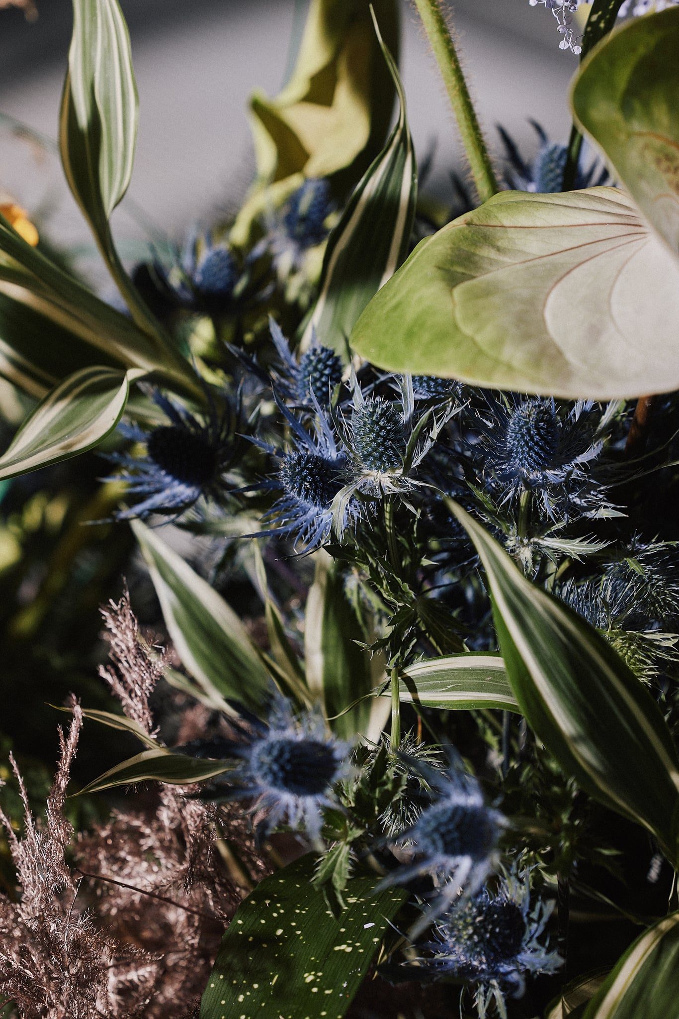 Bukett 💐 — Still Life photography by Abrakadabra