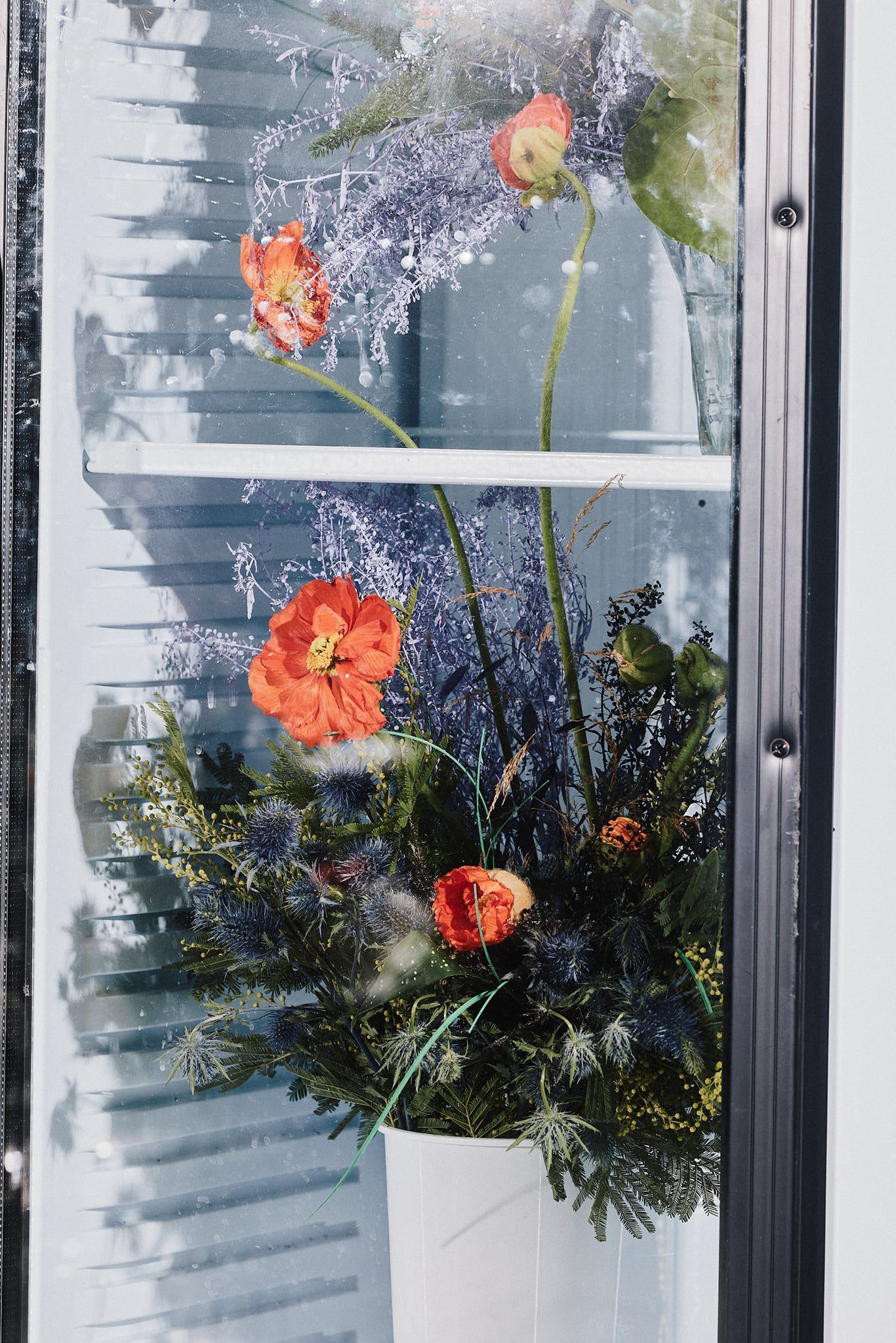 Bukett 💐 — photographed by Abrakadabra